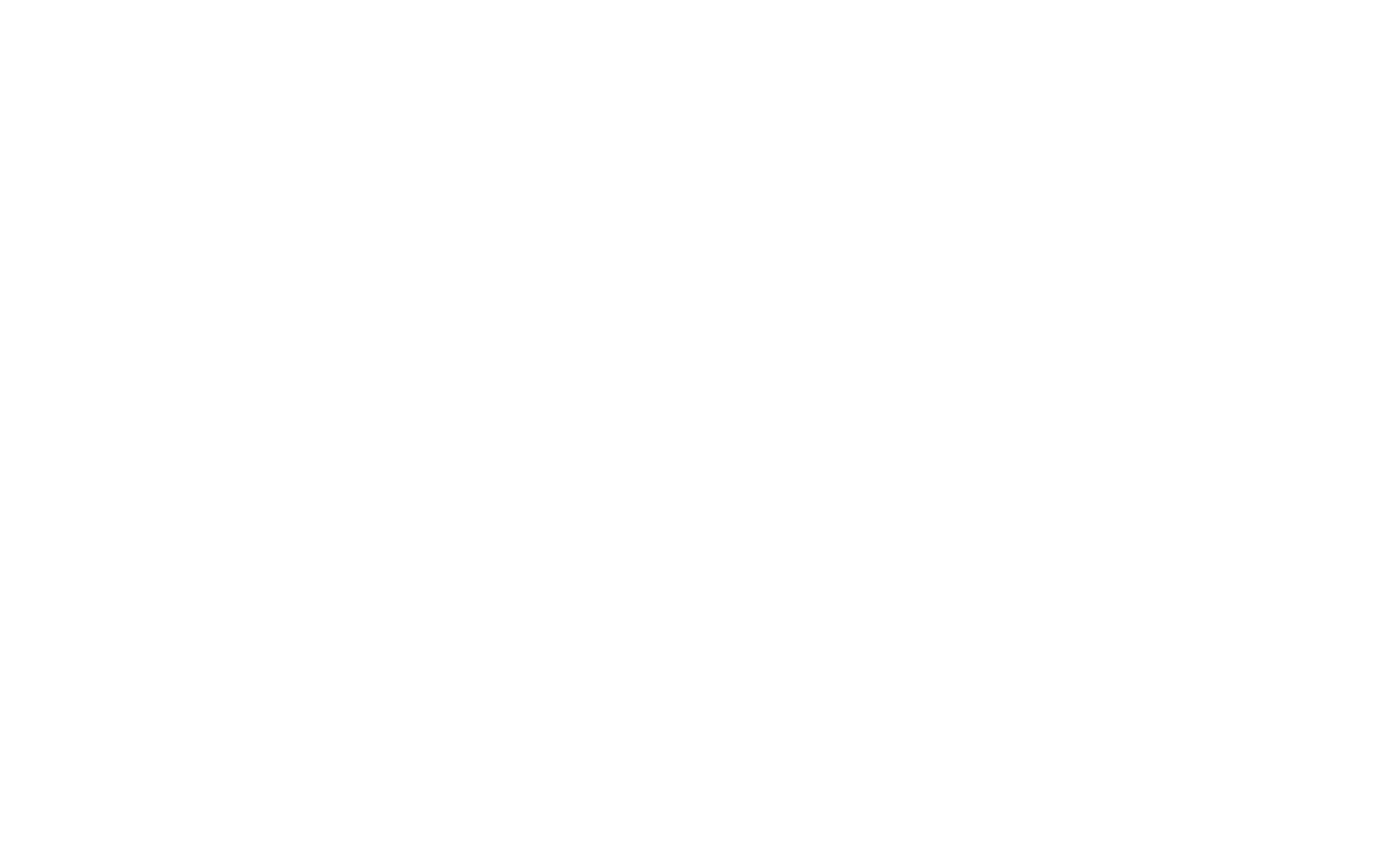 Sprng Energy Logo